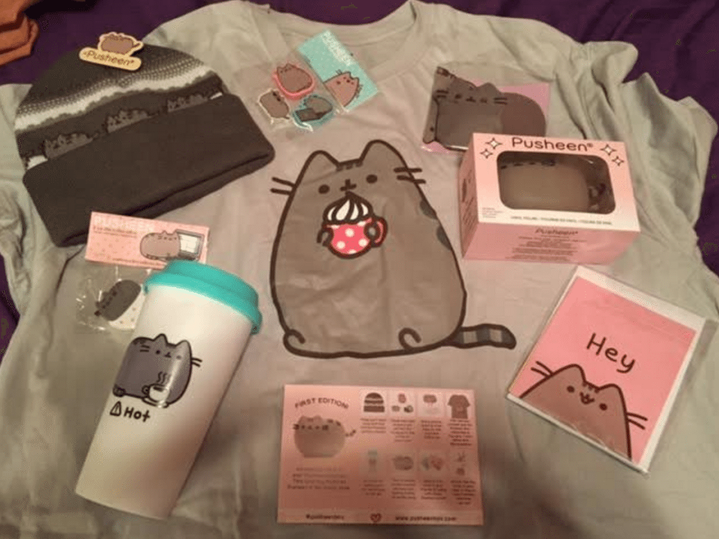 mystery pusheen box