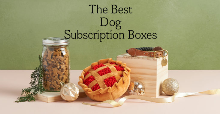 The Best Dog Subscription Boxes
