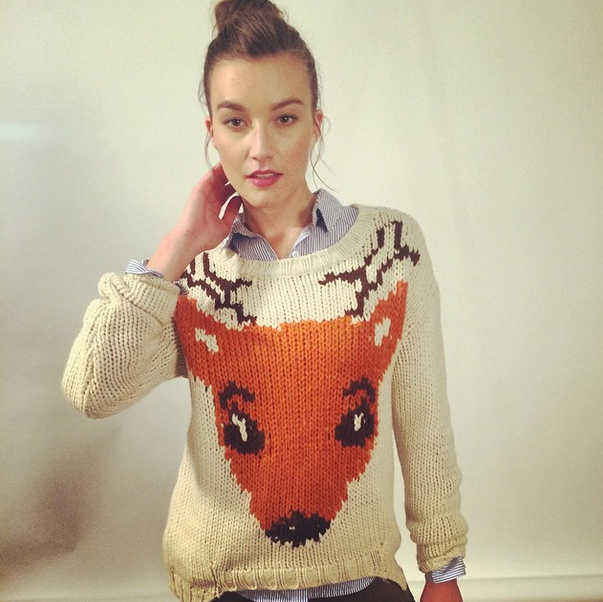 Golden Tote December 2014 Sneak Peek! Reindeer