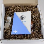 Bianca Jade MizzFit Quarterly Subscription Box Review #MIZ08