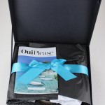 Oui Please Subscription Box Review – Vol 1.4