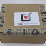 Book Riot Quarterly Subscription Box Review #BKR09