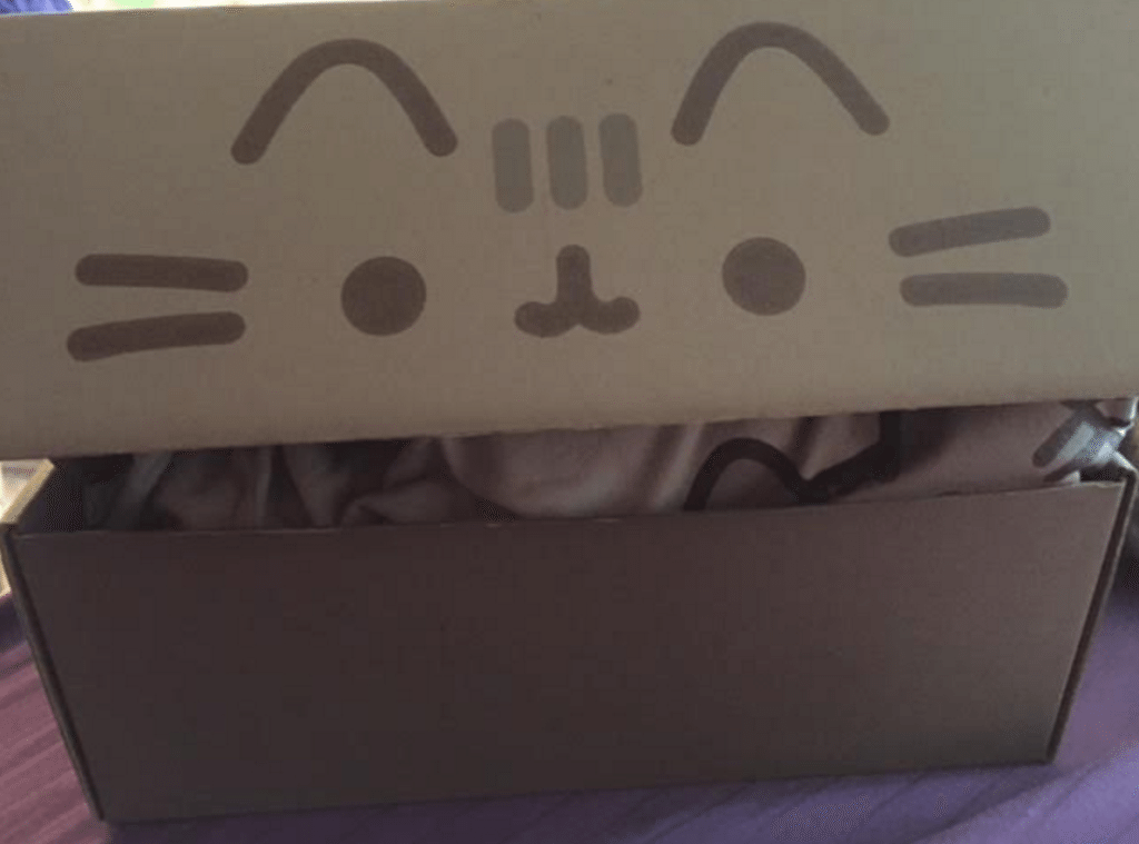 Pusheen Box Winter 2015 Box Reveal! | My Subscription Addiction