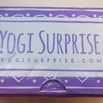 Yogi Surprise Limited Edition Renewal Box Review – Feb 2016