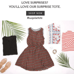 This Weekend Only – Golden Tote Surprise Tote + Free Shipping!