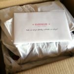 Trendsend by Evereve Subscription Box Review – June 2016