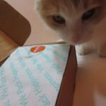 PetPack Cat Subscription Box Review + Coupon – August 2016