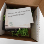 BuddhiBox Mystery Boxes – Available Now!