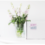 Mommy Mailbox Small Business Saturday Deal – 20% Off Everything