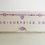 Yogi Surprise Jewelry Box Review + Coupon – February 2017
