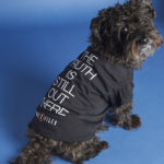 Loot Pets by Loot Crate Subscription Box Review + Coupon – April 2017