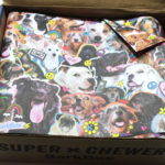 BarkBox Super Chewer Subscription Box Review – April 2017