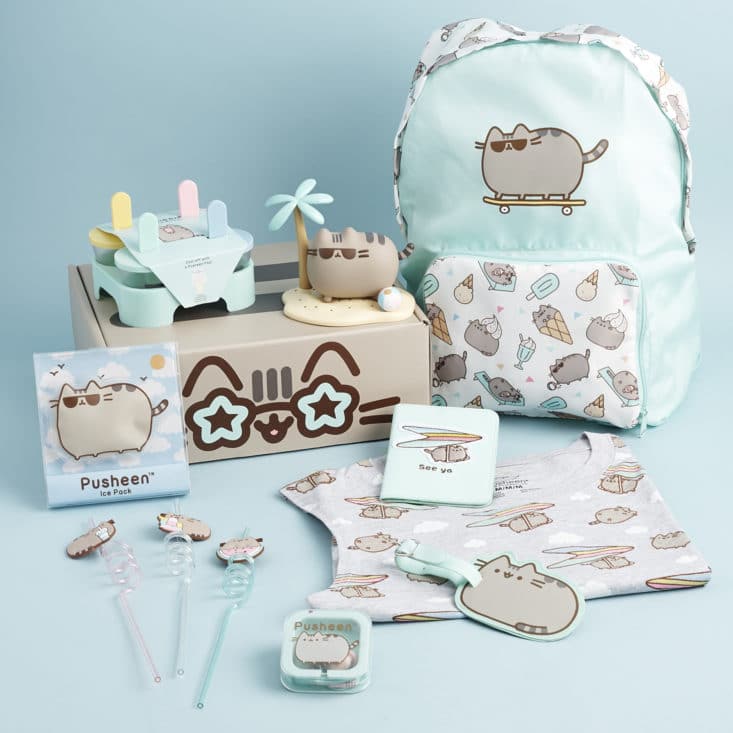 Pusheen Box