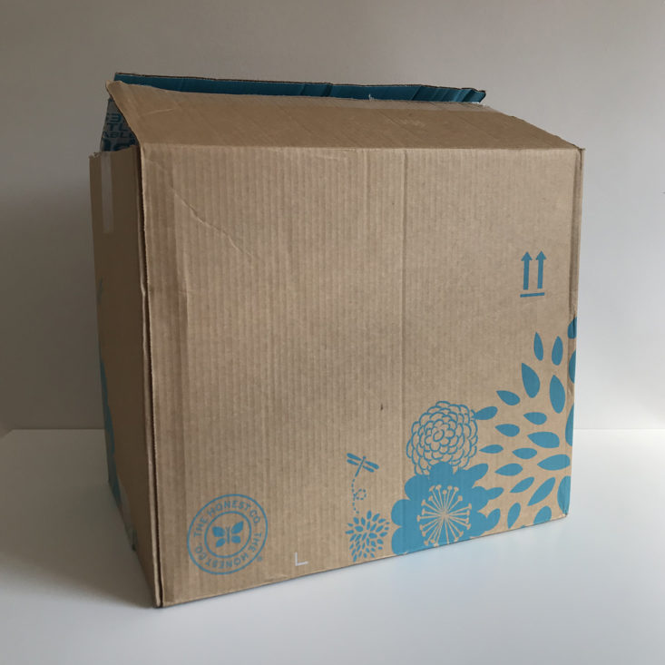 Honest Diapers Bundle October 2017 Review - Exterior box