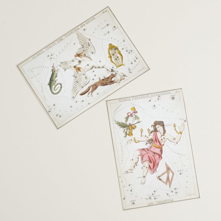 urania's mirror constellation cards (set of 2)