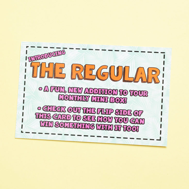 information card for mini monthly box of awesome