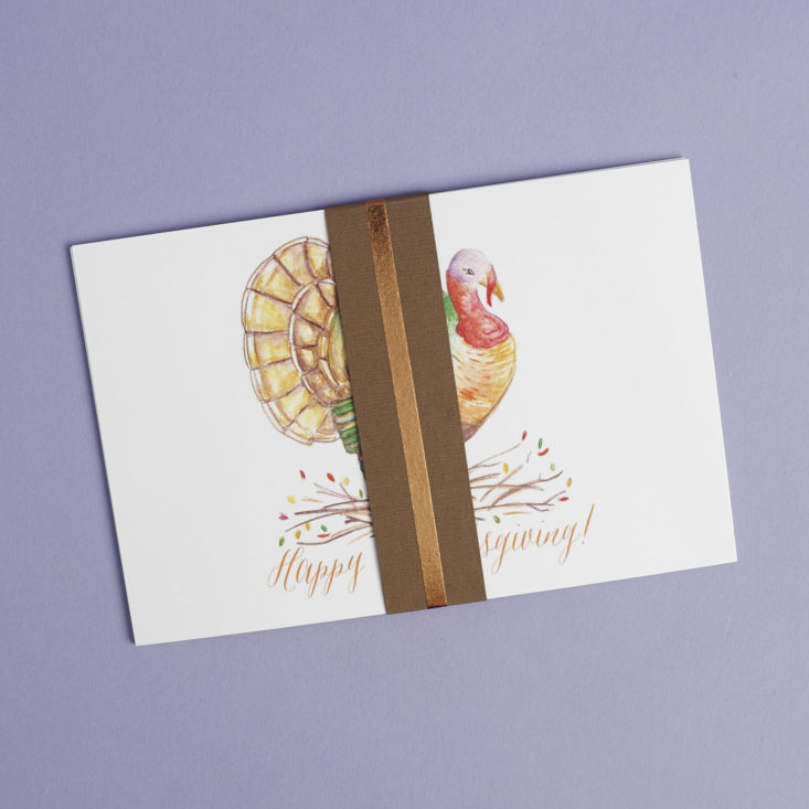 Turkey Postcards with decorative band holding them togegther