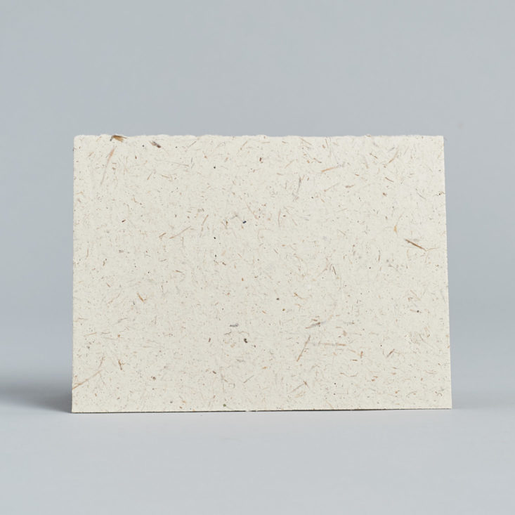 The back of this Globein greeting card is blank.