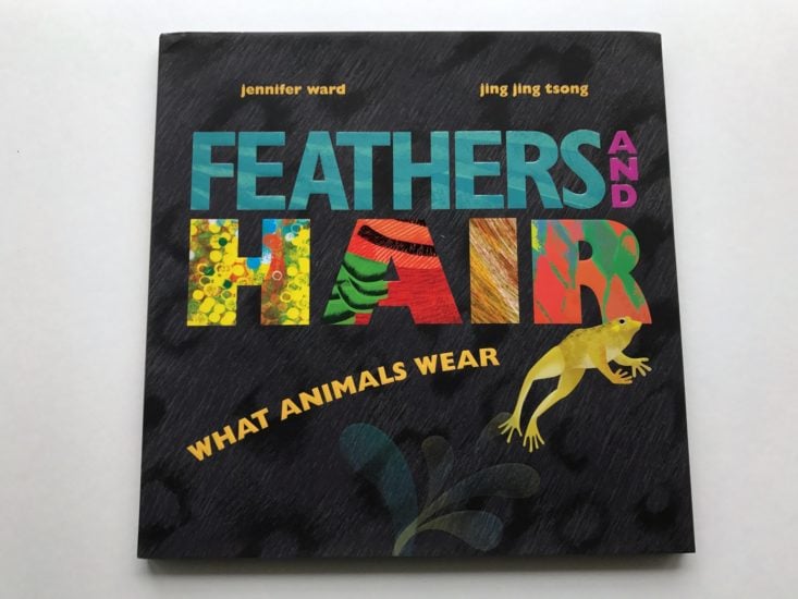 Feathers and Hair, What Animals Wear by Jennifer Ward book