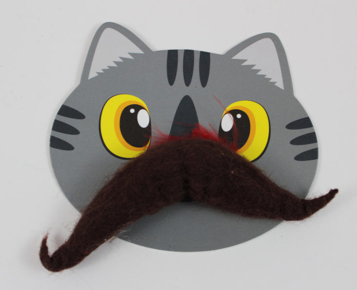 Meowbox November 2017 Mustache