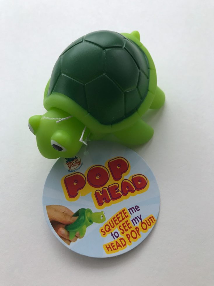 Pop Head Turtle