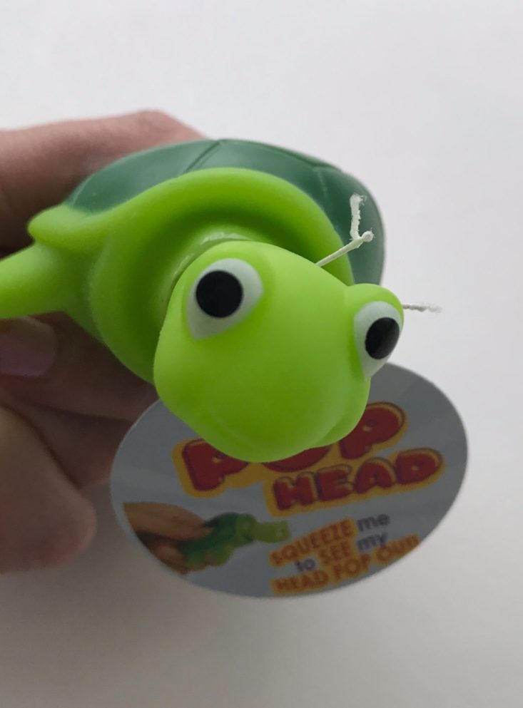 Pop Head Turtle closeup