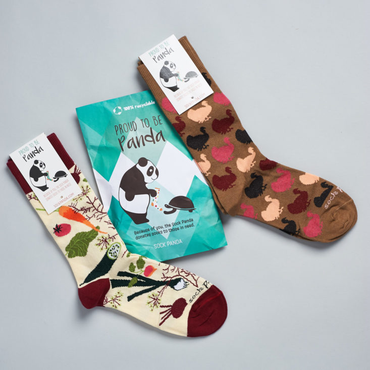 Sock Panda Women's Sock Subscription Review