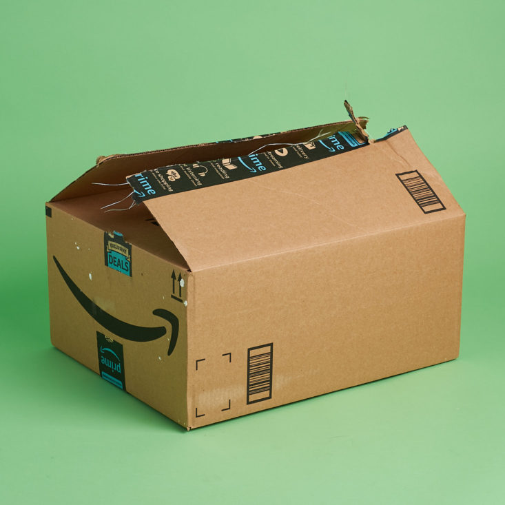 Amazon STEM Toy Subscription Box