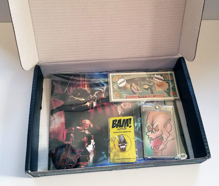BAM! Horror Subscription Box December 2017 box inside