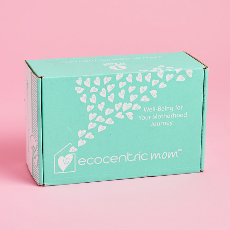 Ecocentric Mom Subscription Box