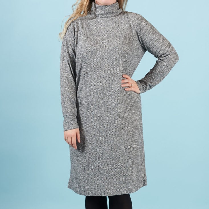 Frank And Oak Style Plan Clothing Box - January 2018 Ribbed Turtleneck Dress in Salt and Pepper 2