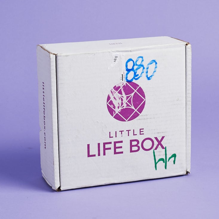 little life box for january 2018