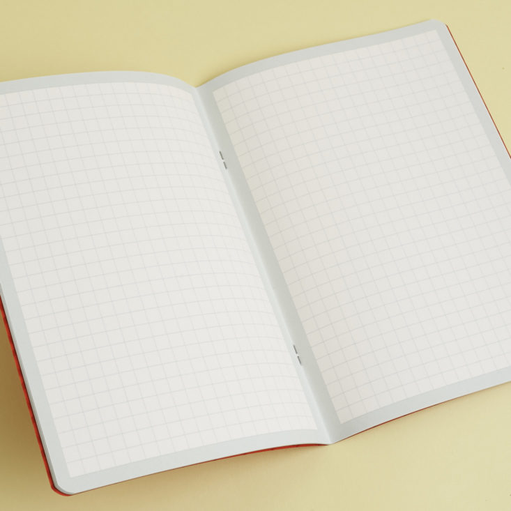 grid lined pages of notebook