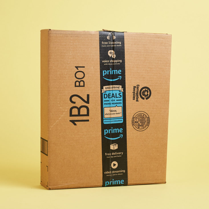 Amazon STEM Subscription Box Ages 3-4