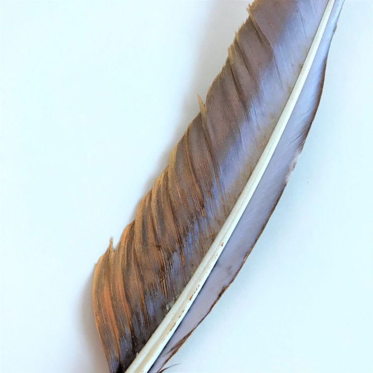 Gold Feather Quill Fine Point Pen 