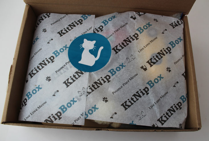 Kitnipbox February 2018 box inside showing tissue paper