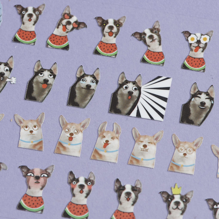 close up of Cartoon Face dog stickers