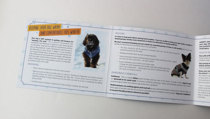 Vet Pet Box Dog January 2018 educational brochure inside