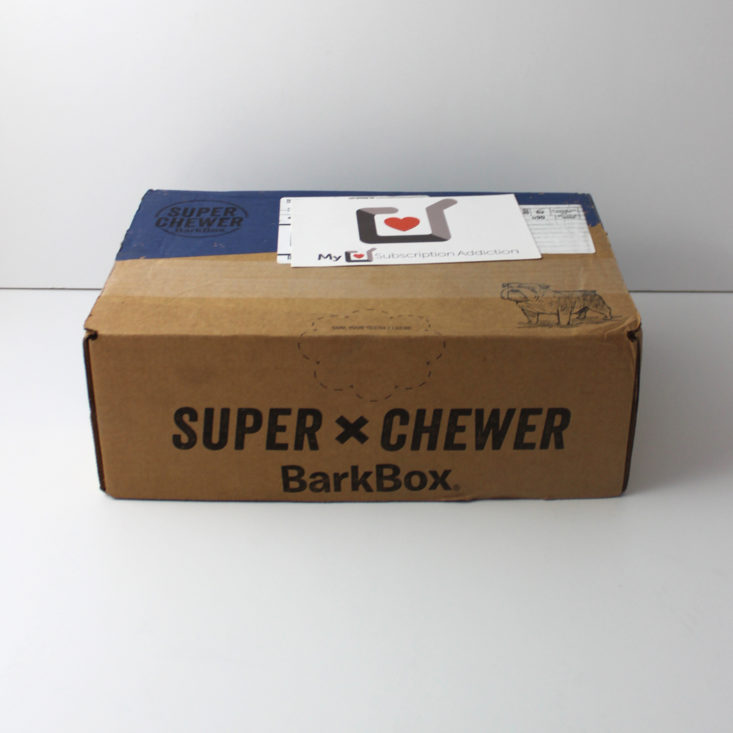 Barkbox Super Chewer March 2018 Box closed