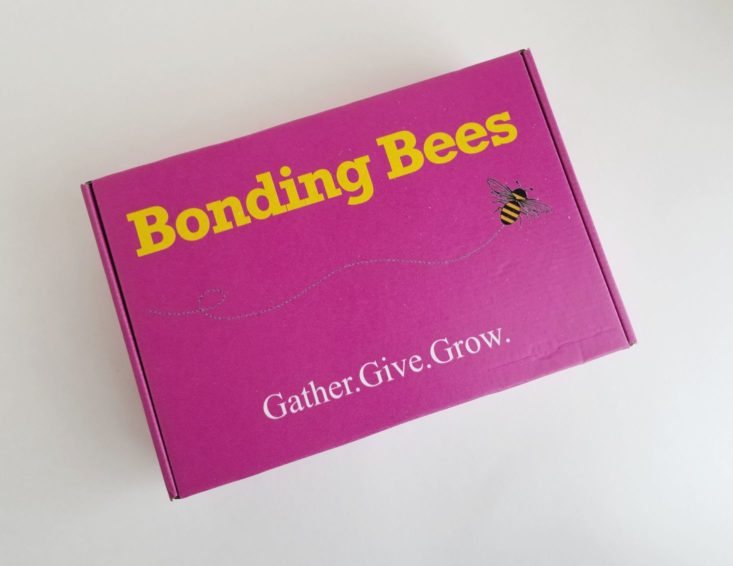 Bonding Bees February 2018 box closed