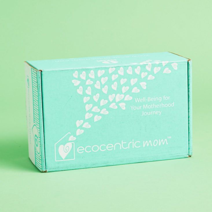Ecocentric Mom Subscription Box is filled with eco-friendly goods for the whole family