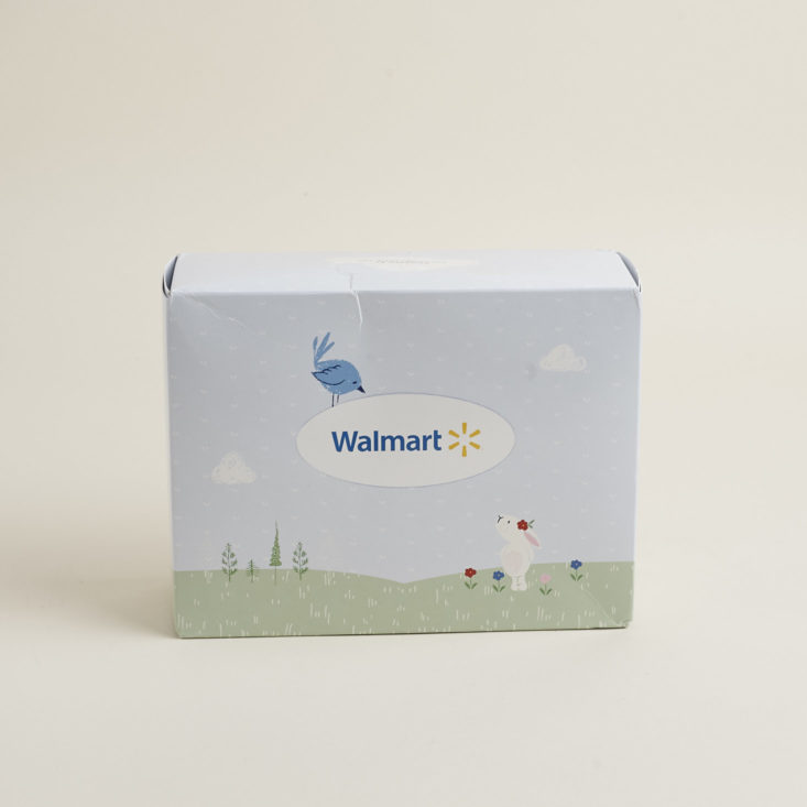 Walmart Toddler Box March 2018 - 0001 - box