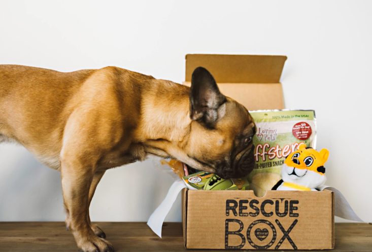 rescue box dog subscription box for treats and toys