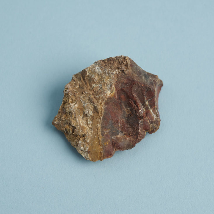 other side of Red Jasper or Petrified Wood, specimen 1