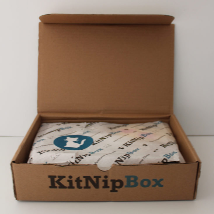 open Kitnipbox box showing tissue paper
