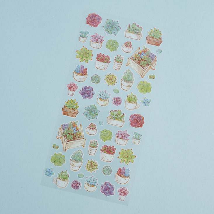 pipsticks succulent sticker sheet