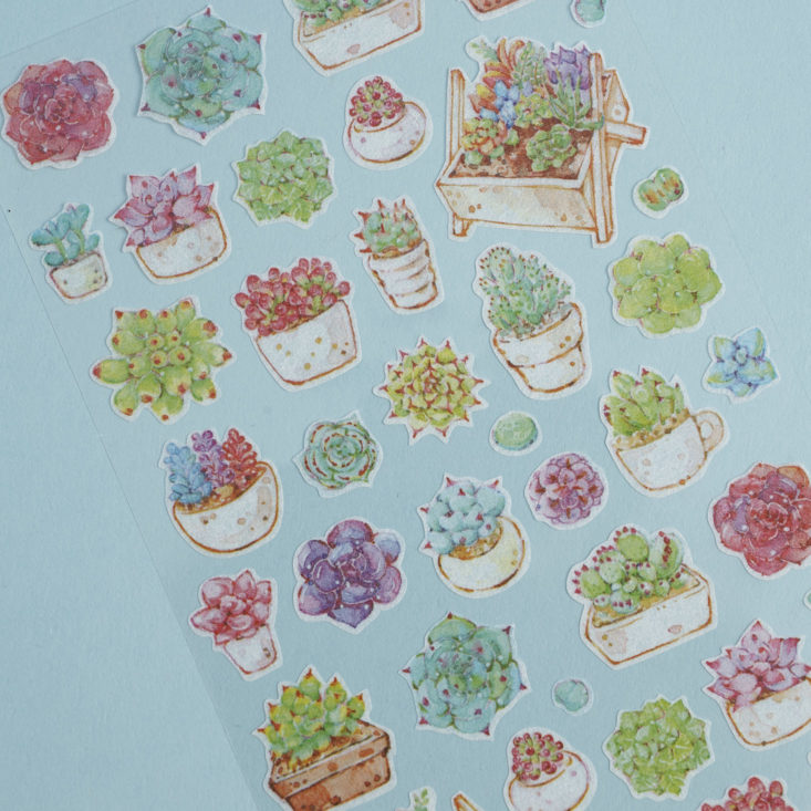 pipsticks succulent stickers