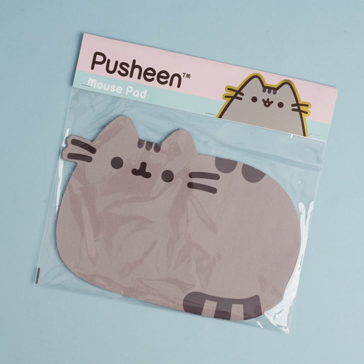 Pusheen Mouse Pad in package