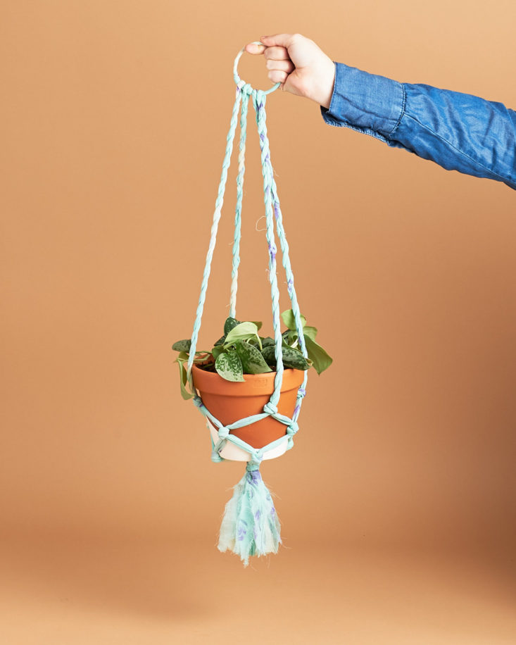 globein cultivate plant hanger