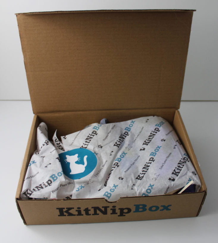 open Kitnip box